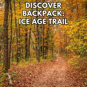 forest with fall foliage