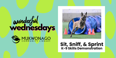 photo Wonderful Wednesdays graphic with Sava, the Dog image